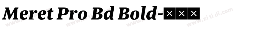 Meret Pro Bd Bold字体转换